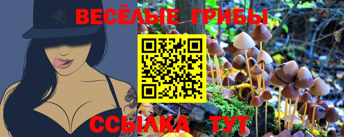 Псилоцибиновые грибы Cubensis  Вход с VPN  Феодосия 